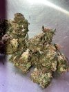 IMG_0245.jpeg