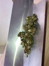 IMG_0247.jpeg