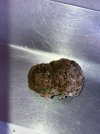 IMG_0272.jpeg