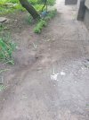 IMG_3229.jpeg