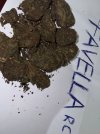 IMG_2095.jpeg