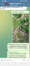 Screenshot_20250606-041003.png