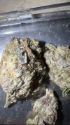 IMG_3720.jpeg