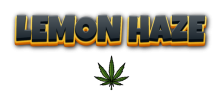 LEMON-HAZE-25-01-2026.png