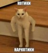 images (12).jpeg