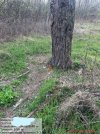 IMG_2395.jpeg