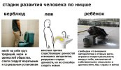 IMG_6622.jpeg