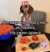 IMG_6623.jpeg