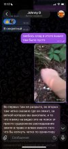 1782731176991.jpeg