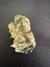 IMG_0673.jpeg