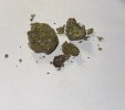 IMG_1736.jpeg