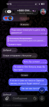 IMG_7249.png