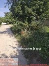IMG_1637.jpeg