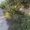 IMG_1642.jpeg