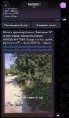 IMG_1652.jpeg