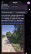 IMG_1651.jpeg