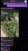 IMG_1673.jpeg
