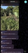 IMG_1674.jpeg
