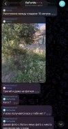 IMG_1675.jpeg