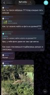 IMG_1681.jpeg