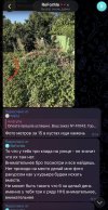 IMG_1682.jpeg