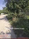 IMG_1688.jpeg