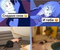 1789156149933.jpeg