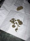 IMG_0833.jpeg