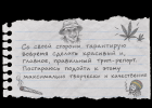 1000003168.png