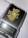IMG_2800.jpeg