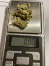 IMG_2796.jpeg