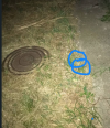 1789916967029.png