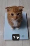 1790111192725.png