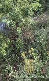 20260927_004631.jpg