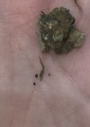 IMG_3508.jpeg