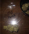 OG Kush 7.png