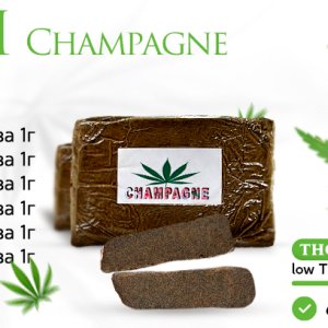 HASH-Champagne-20241031180233.jpg